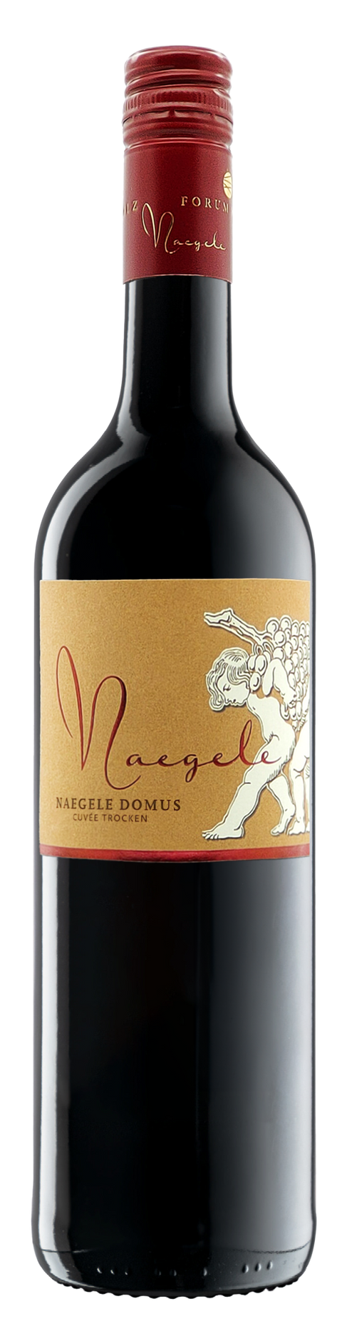 Weingut Naegele DOMUS 0,75 L aus der Pfalz