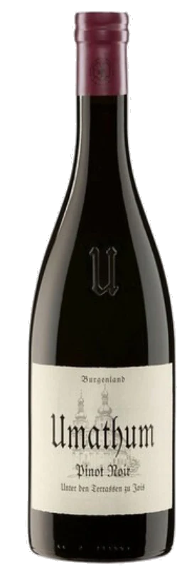 Weingut Umathum Pinot Noir "Unter den Terrassen" 0,75 L aus dem Burgenland in Österreich