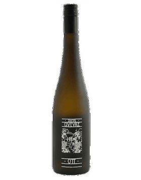 Quevre Grüner Veltliner 2015