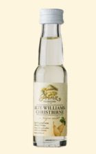 Alter Williamsbirnen Schnaps<br> 36 x 2cl